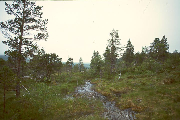 Nordland12 - 78KB